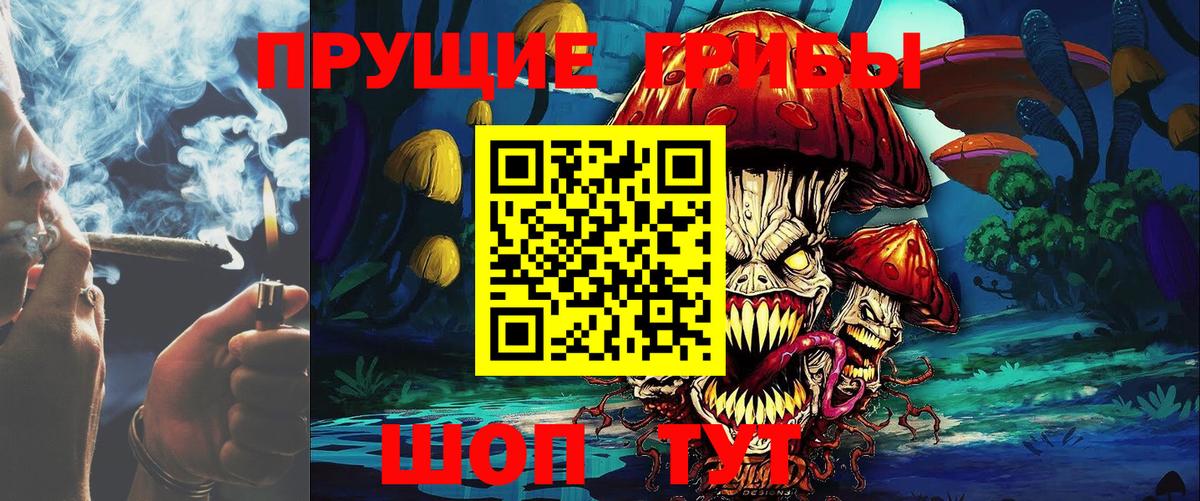 Галлюциногенные грибы прущие грибы  Вход с VPN  Псилоцибиновые грибы Psilocybine cubensis  Добрянка 